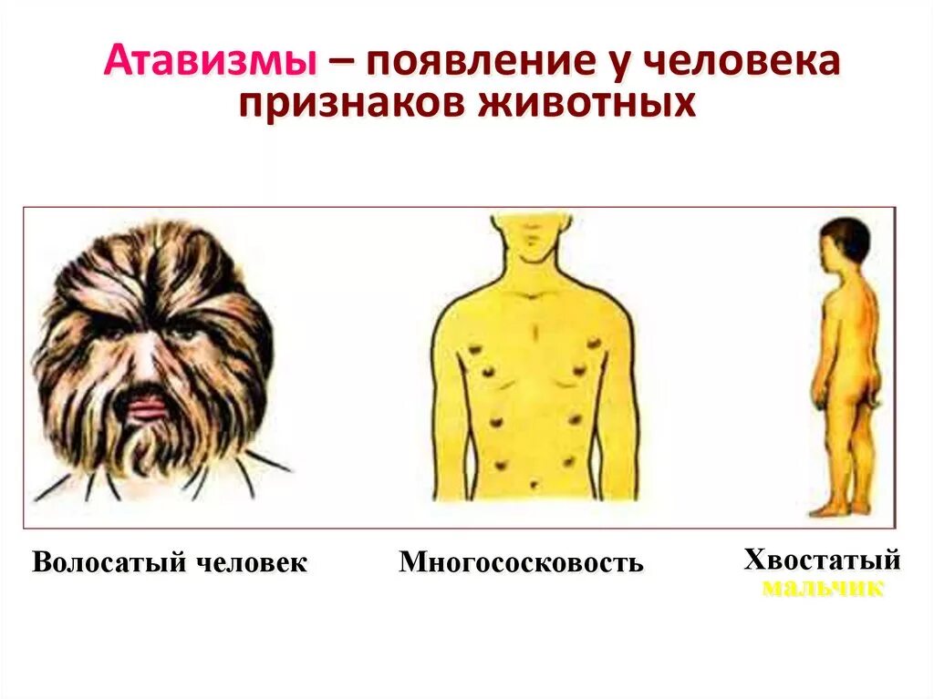 Появление признаков далеких предков