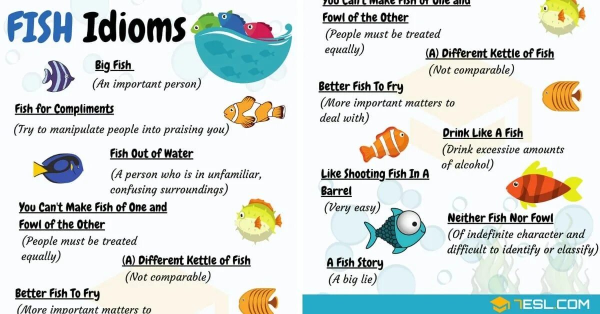 Fish idioms. Разновидности рыб на английском. Рыбка англ. Идиома Fish. I fish перевод