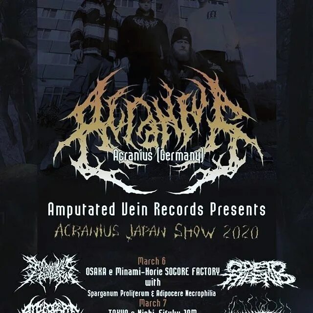 спарганум пролиферум