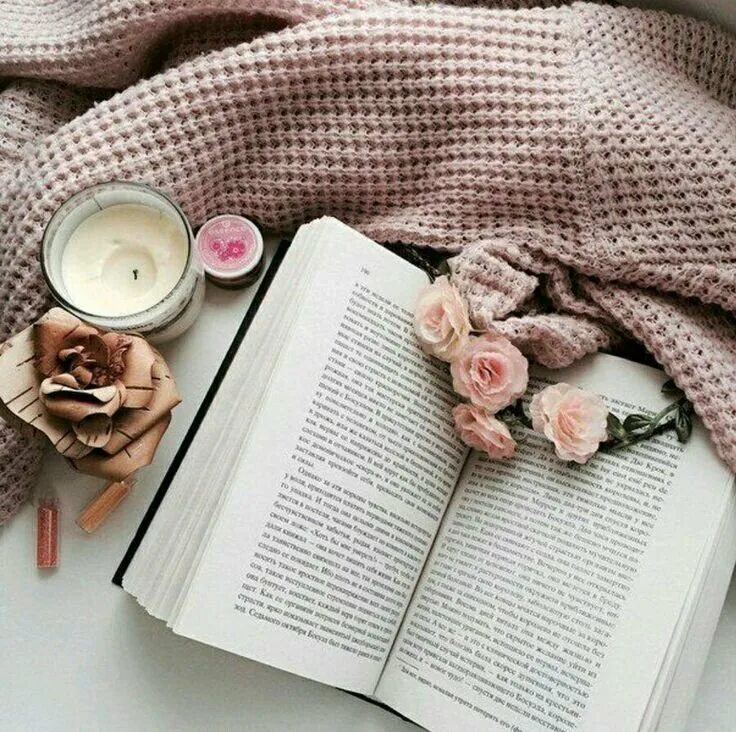 Книга цвет жизни. Де Шон де Шон. Красивые раскладки с книгами. Нежные книги. Книга цветы.