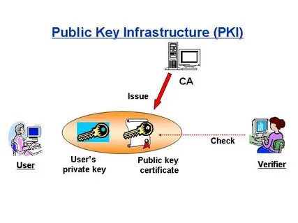 Pki что это
