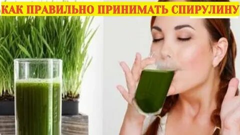Можно ли пить спирулину