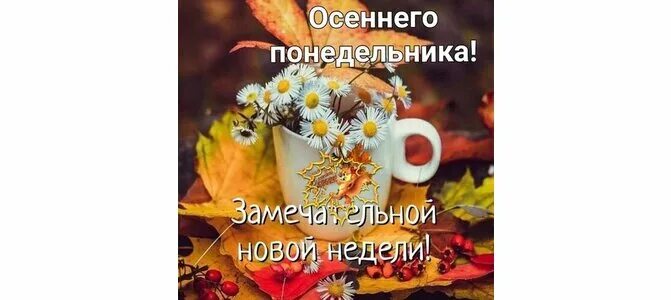 Последняя неделя октября как работаем