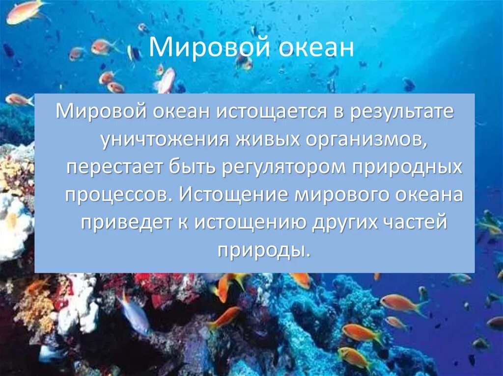 Причины проблем океана. Презентация на тему мировой океан. Организмы мирового океана. Проблемы мирового океана. Мировой океан истощается.