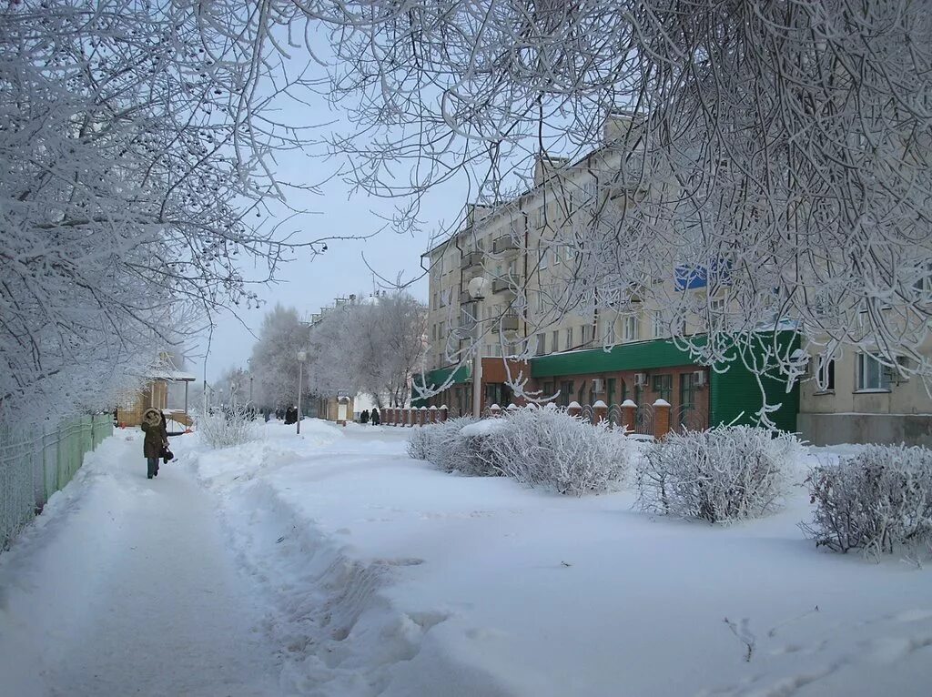 Самарская область г похвистнево. Похвистнево Самарская область. Улица Васильева Похвистнево. Природа - город Похвистнево - Самарская область. Похвистнево Васильева парк.