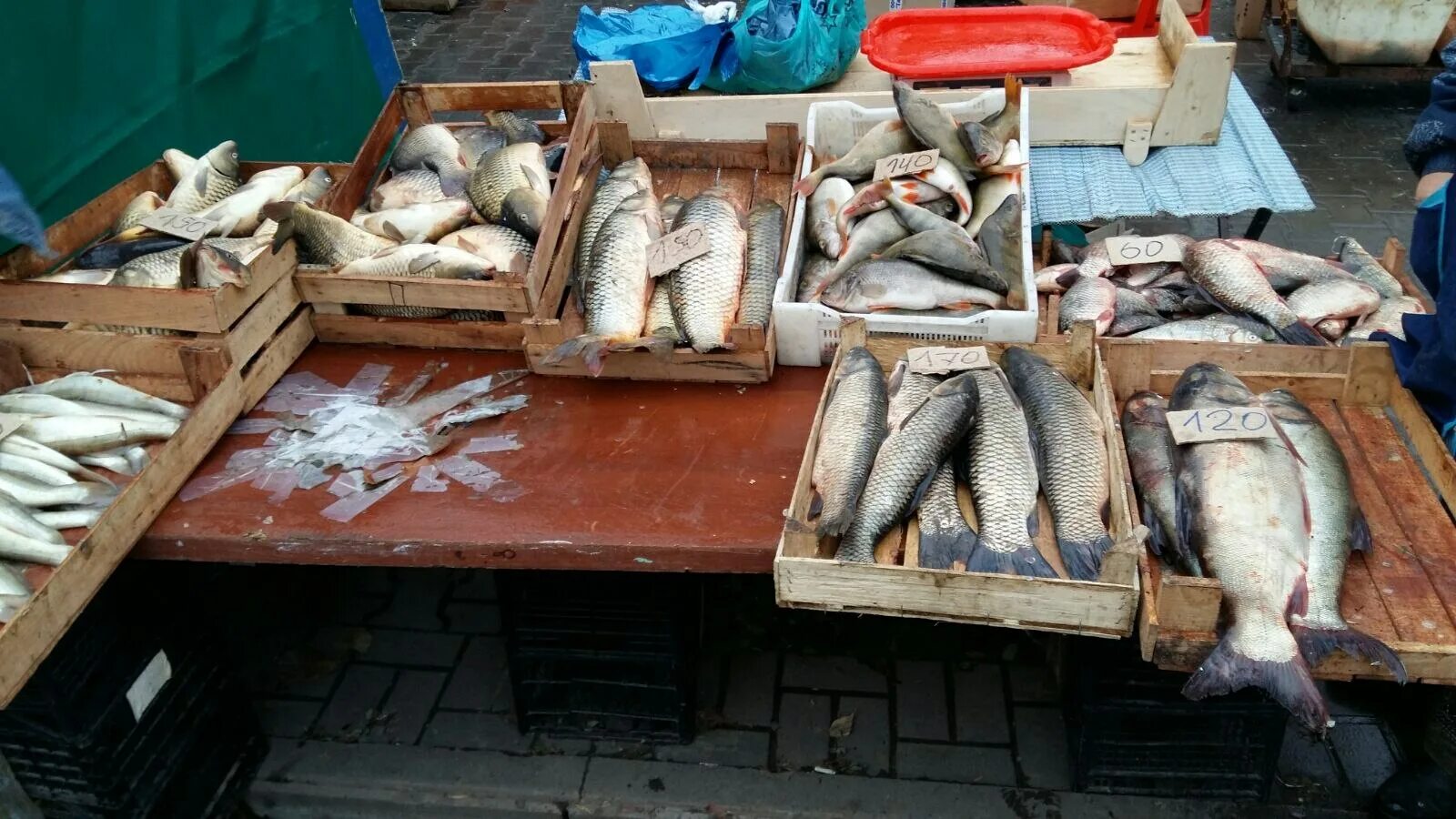 Рыбное купить рыбу. Продают рыбу на рынке. Несанкционированная торговля рыбой. На улице продают рыбу. Торгует рыбой на улице.