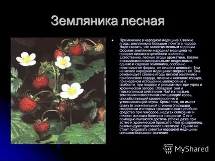 Земляника систематическое положение