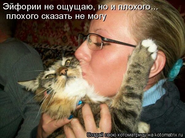 юмор в картинках про работу поржать. шутки про ксиоми. сказали что плохо работаю. никогда не говорите о себе плохо. демотиватор плохая работа.