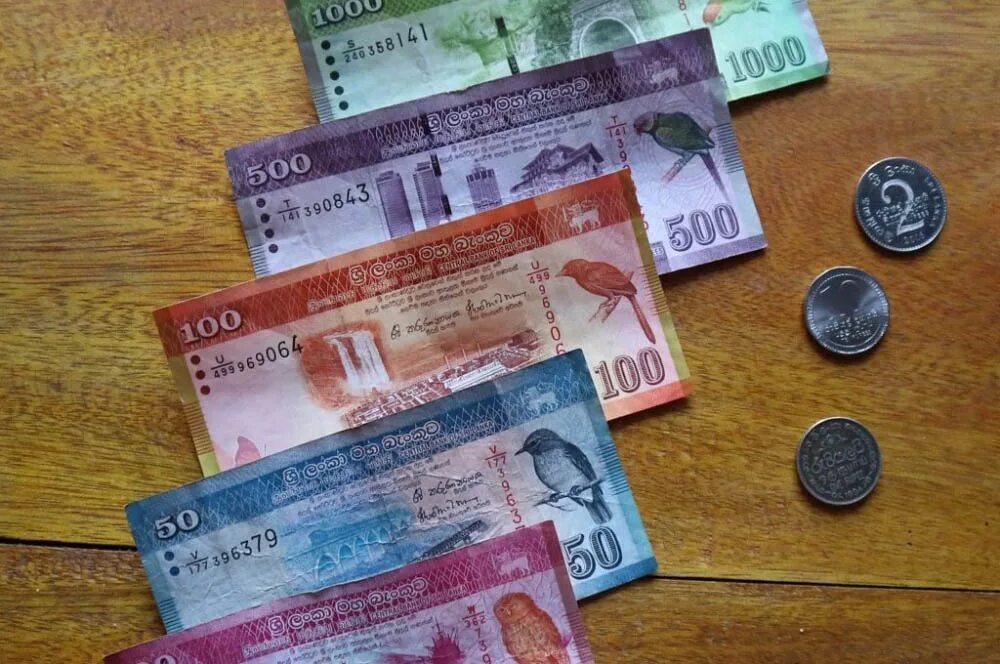 Шри ланка деньги курс. Валюта Шри Ланки. Деньги Шри Ланки. Деньги на Шри Ланке. Купюры Шри Ланки.
