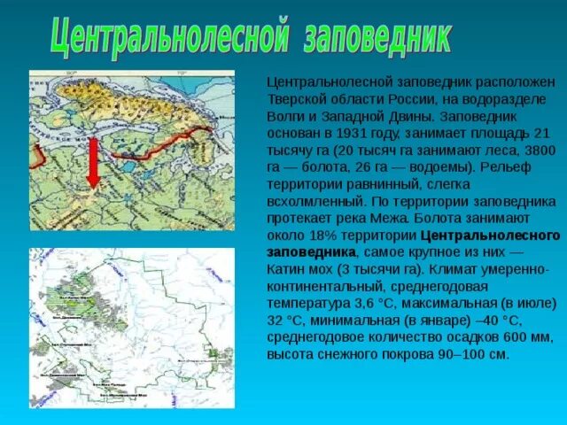 Как называется заповедник который расположен. Заповедники тверской области. презентация заповедники тверской области. центрально-лесной государственный природный заповедник. заповедник в твери.