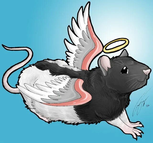 Энджел питомец