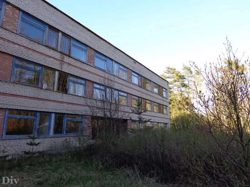 алые паруса лагерь спб. алые паруса лагерь спб. детский лагерь алые паруса сайт. лагерь алые паруса петропавловск камчатский. лагерь алые паруса ленинградская.