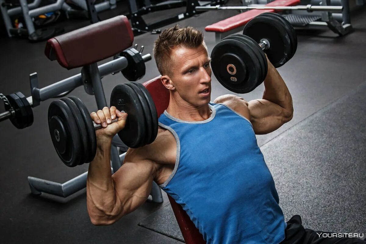 Подъем на носки сидя. Подъемы на мыски в тренажере. Тренажёры для ног в тренажерном зале для мужчин. Качает сидя. Качает сидя.