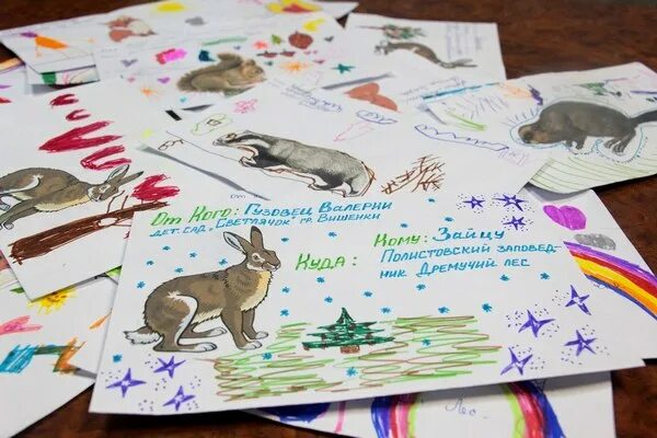 примеры написания писем животным. проект письма животным. письмо любимому животному. письма животным от детей. письмо животному от ребенка.