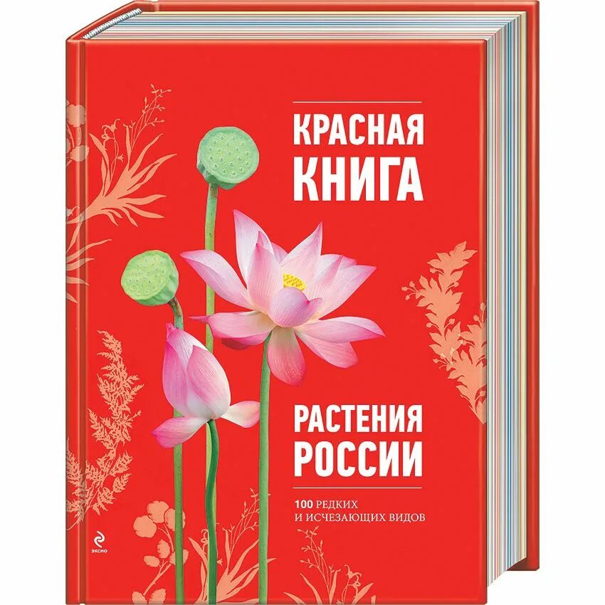 Красная книга россии цвета. Растения красной книги России. Растения красной книи России. Красная книга России р. Коасная книга Росси растения.