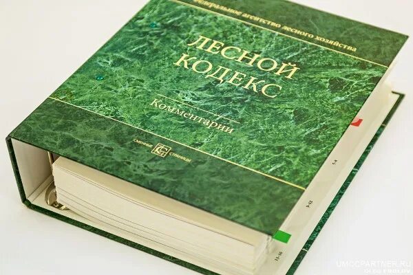 Лесное законодательство рф. Лесной кодекс Российской Федерации книга. Лесное законодательство. Основы лесного законодательства. Земельный и Лесной кодексы.