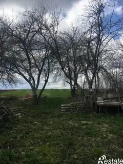 Репяховка белгородская область