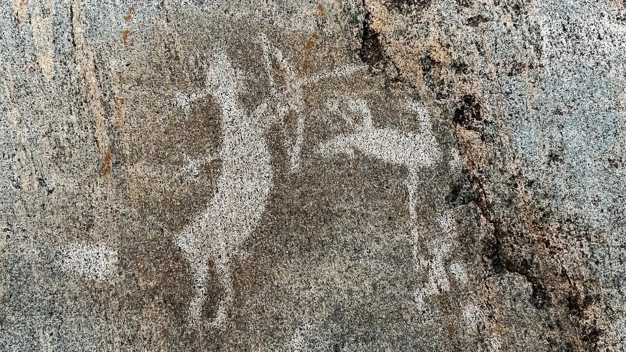 Петроглифы экскурсия. Бесовы следки петроглифы. петроглифы бесовы следки беломорск. беломорские петроглифы павильон. павильон бесовы следки в беломорске.