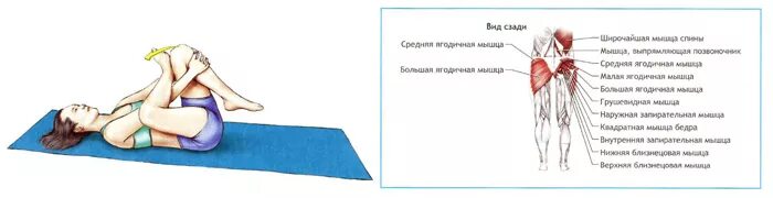 Чем снять боль тазобедренного Shtampik.com