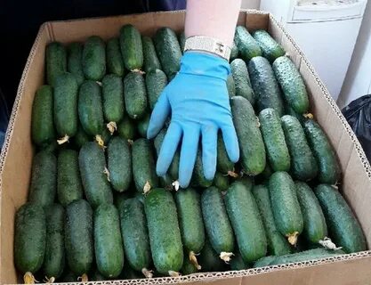 Продам огурец оптом
