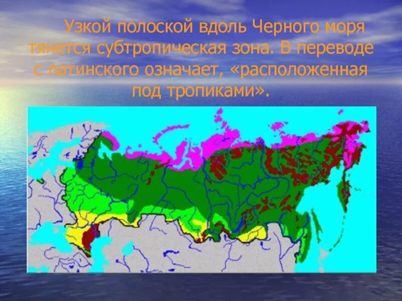 Субтропики расположение. Субтропики России географическое положение на карте России. Субтропики на карте. Субтропики географическое положение. Где находятся субтропики в России на карте.