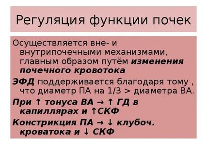 Почечный тонус
