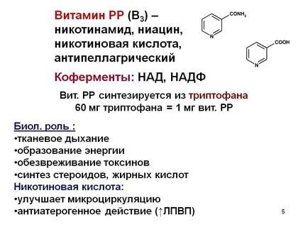 Роль витамина рр