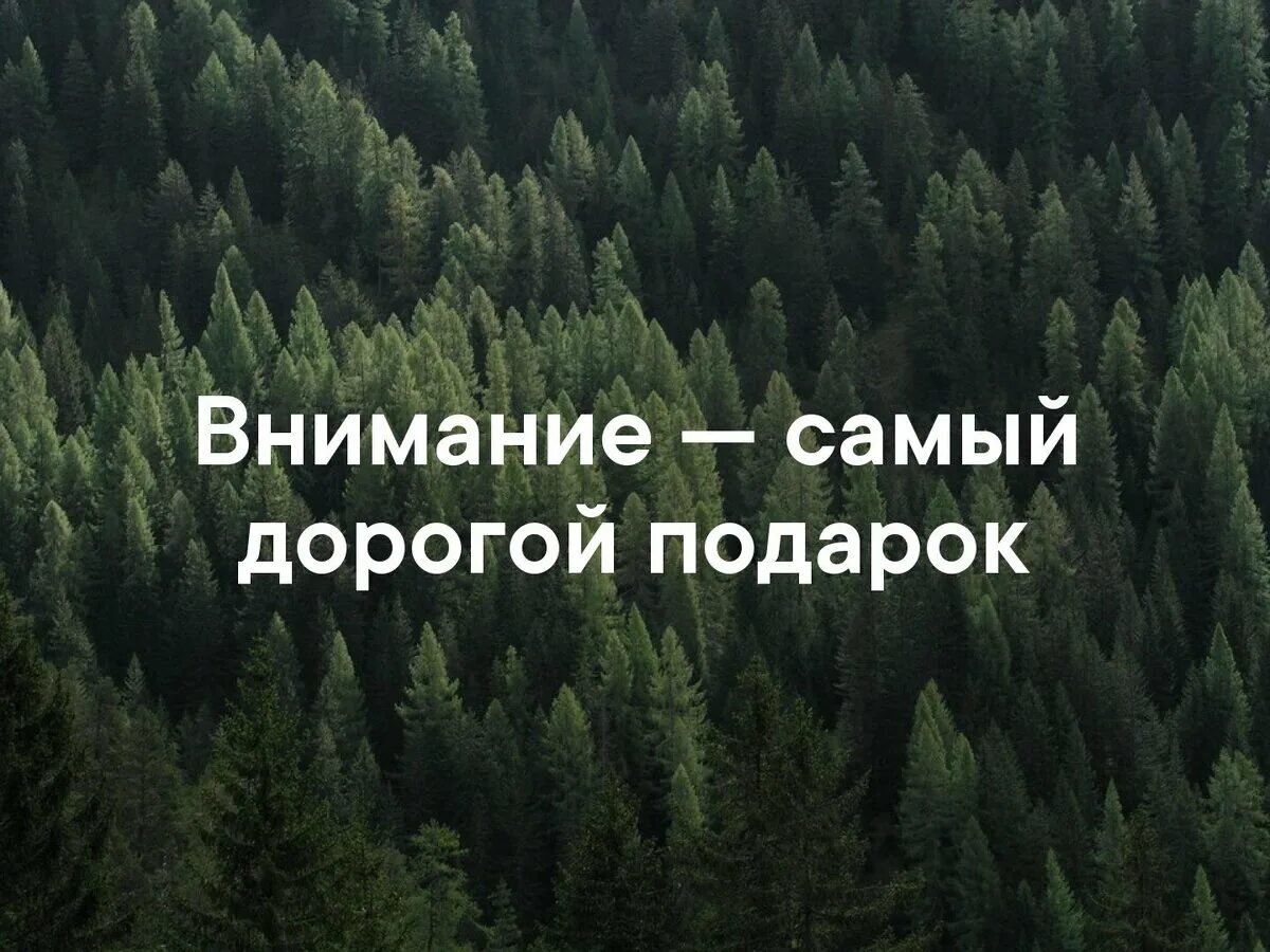 Внимание самое первое это