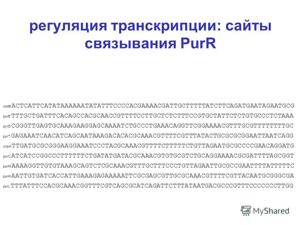 стадии постановки звука. орфоэпия грамматических форм. сайты произношения. особенности произношения заимствованных слов. произношение чн и шн.