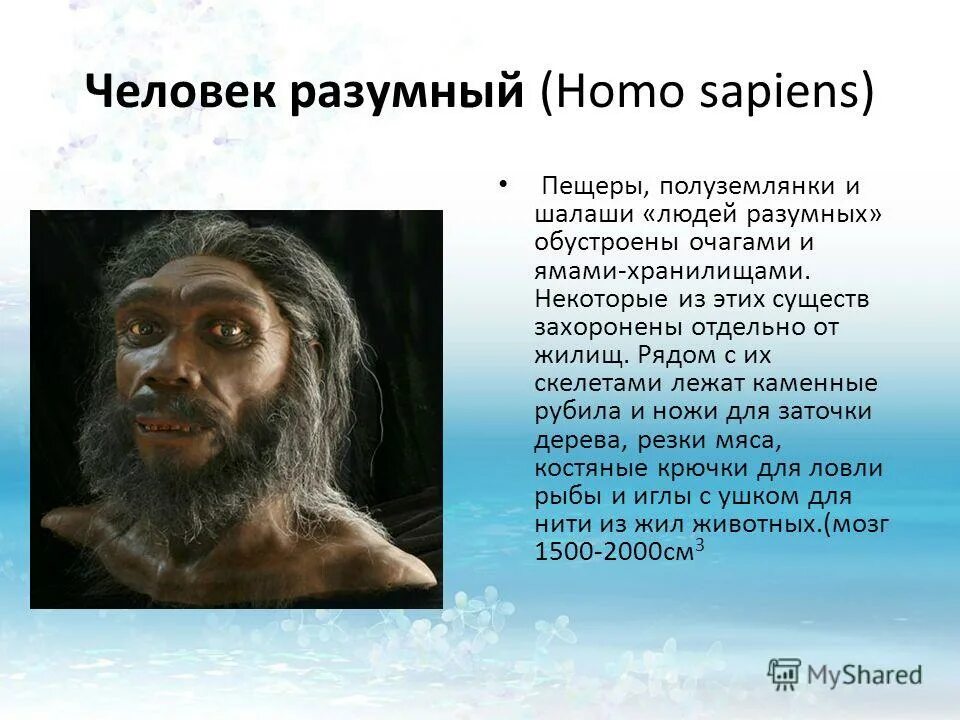 Хомо сапиенс разумный. Человек разумный (homo sapiens) внешность. Хомо сапиенс человек разумный разумный. Виды людей хомо сапиенс. Хомо сапиенс появился в эпоху