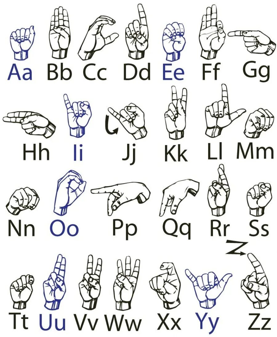 Алфавит английский жестовый язык. Американский жестовый язык алфавит. Английский язык жесты глухих. Английский жестовый алфавит глухих. Выучить глухонемой
