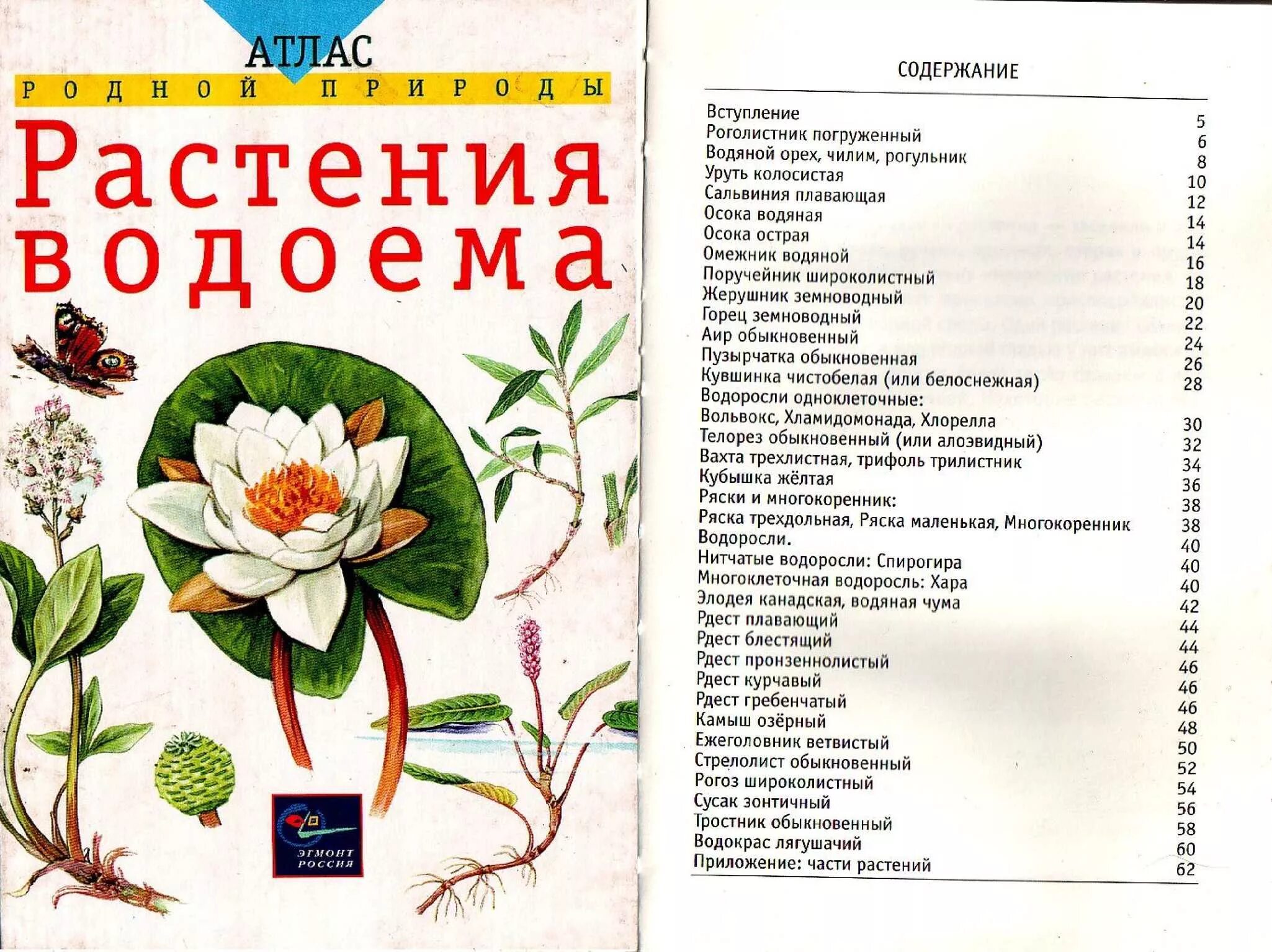 Содержание цветов. Книга растения водоёма. Атлас: растения водоема. Атлас родной природы. Книги по растительности.