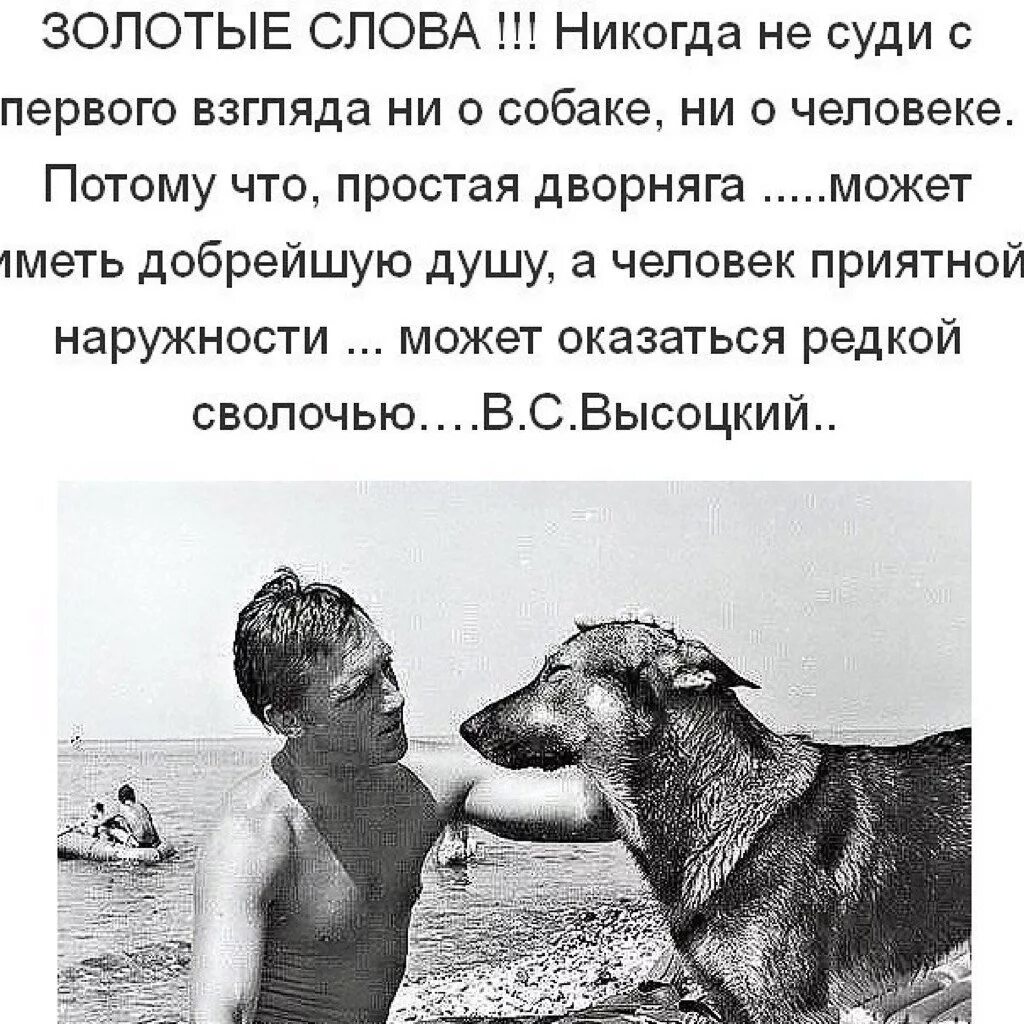 Собака и человек стали друзьями. Высказывания о собаках. Цитаты про собак. Собака друг цитаты. Афоризмы про собак и людей.