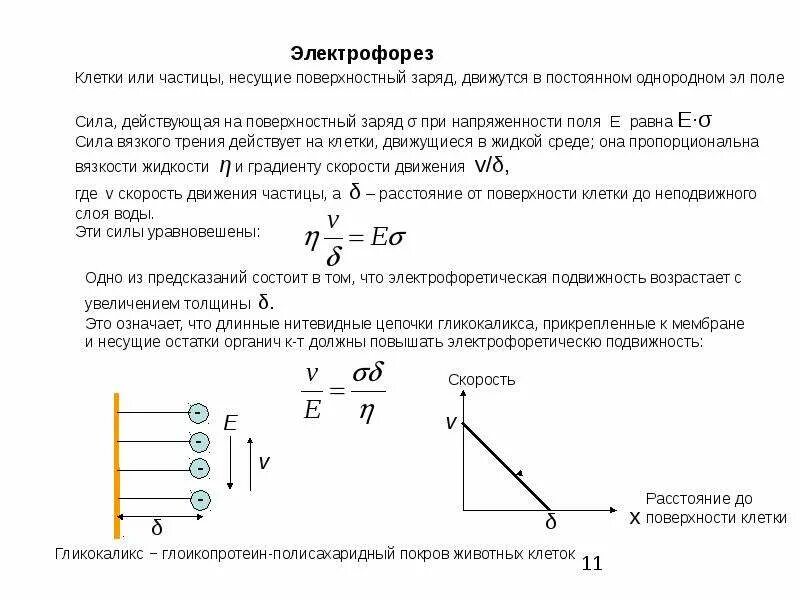 Частица несущая положительный заряд