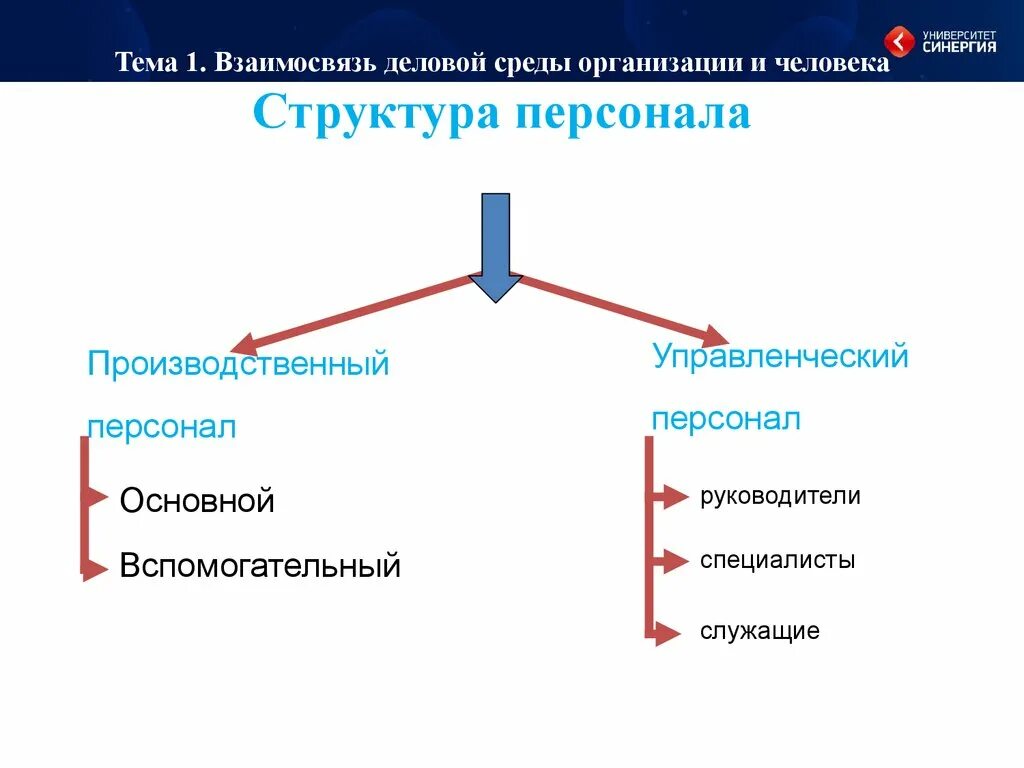 Управление организацией вуз. Организационная структура университета СИНЕРГИЯ. Организационная структура синергии. Организационная структура управления университета «СИНЕРГИЯ». Структура университета СИНЕРГИЯ схема.