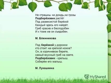 Ни холодный ветер ни дождь