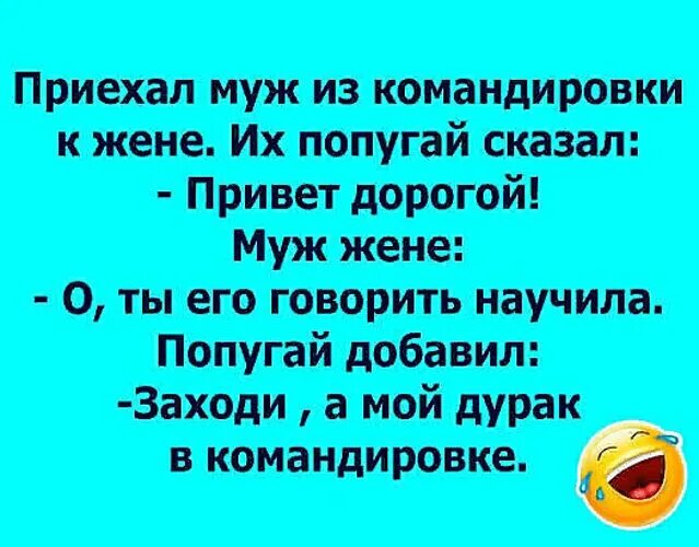 Когда муж был в командировке жена. Муж приехал из командировки. Анекдоты про мужа из командировки. Муж приехал с командировки анекдот. Анекдоты про мужа в командировке.