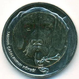 Куруш 2021