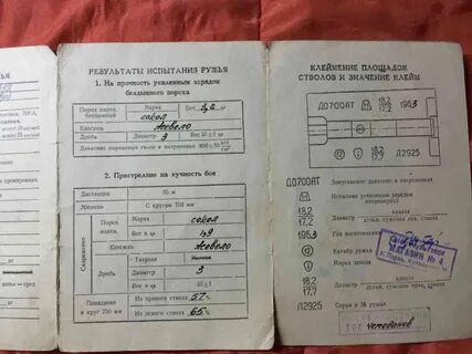 Год ружья иж