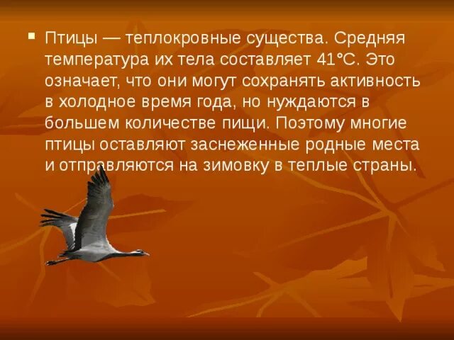 Теплокровные животные птицы. Теплокровность птиц. Средняя температура тела у птиц. Теплокровные птицы примеры.