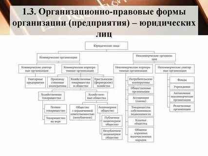 Организационно правовые основы контроля