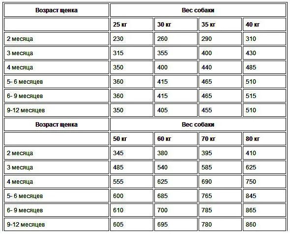 Имена для девочек щенков имена для девочек щенков. Кличка для щенка мальчика. Имя для собаки девочки россия. Клички для собак девочек маленьких пород. Имя для собаки мальчика маленькой породы.