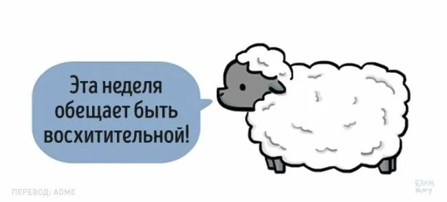 Этот месяц обещает быть