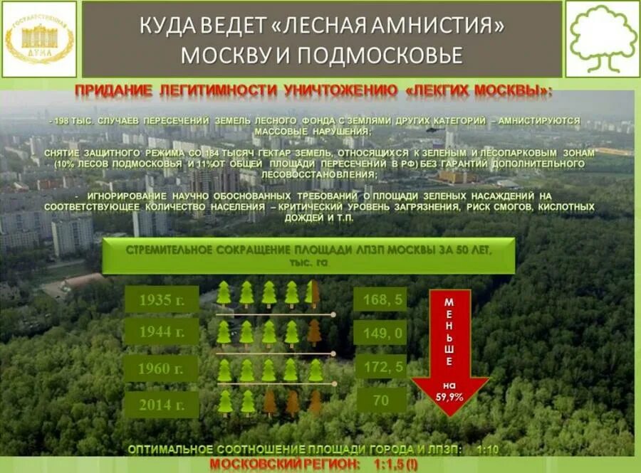 Оформить землю лесного фонда. Лесная амнистия. лесная амнистия презентация. презентация по лесной амнистии. пересечение земель лесного фонда.