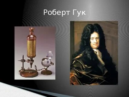 Микроскоп гука