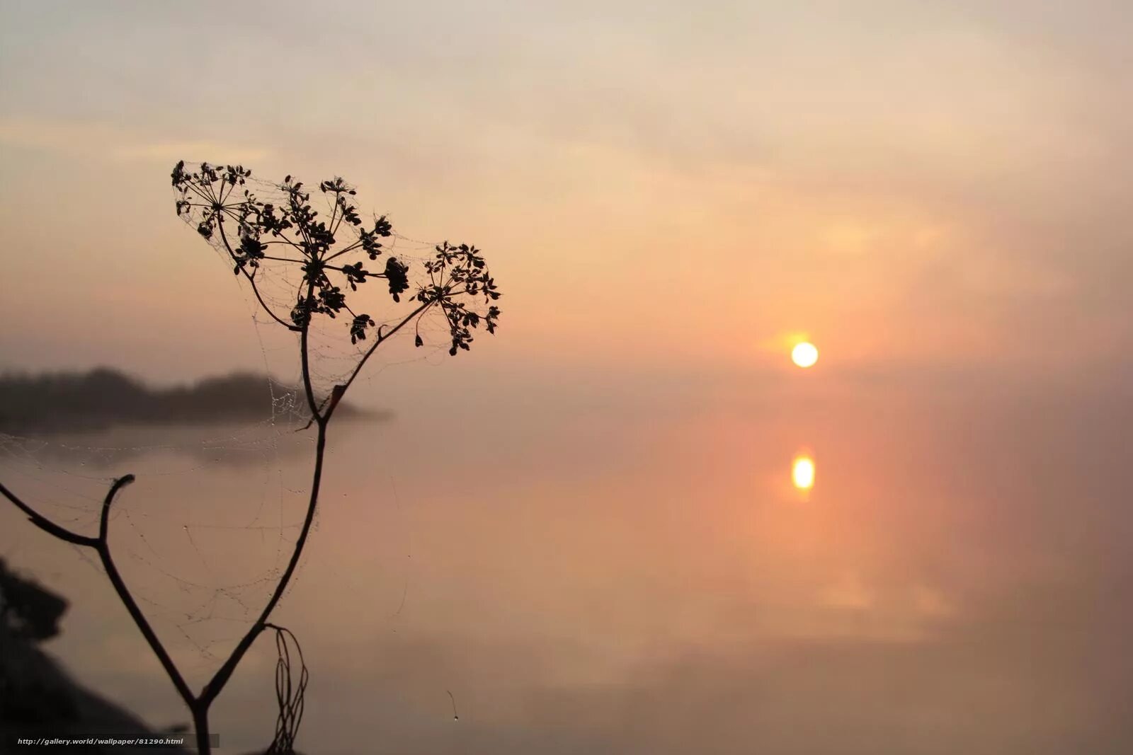Озеро туман вечер. Умиротворяющий пейзаж. Весенний закат. Природа умиротворение и спокойствие. Умиротворяющий пейзаж.