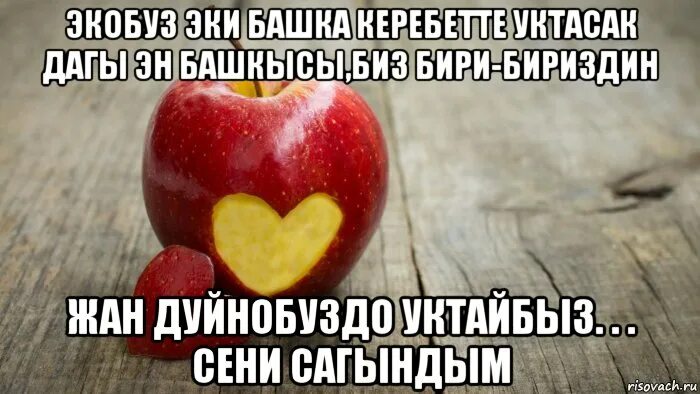 Можно только представить