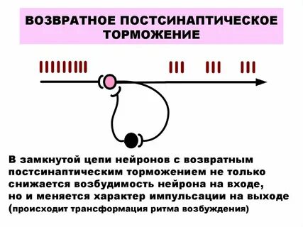 Повторное возбуждение