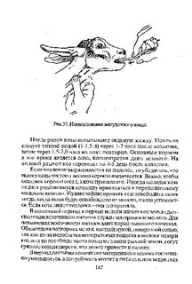 Когда козлятам давать воду