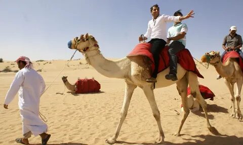 Dubai safari